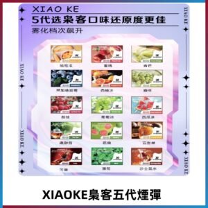 梟客五代煙彈|XIAOKE可替換式電子煙|通用Relx6代|ILIA五代主機