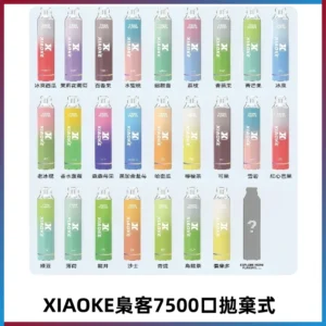 梟客XIAOKE|7500口可發光拋棄式電子煙 跑馬燈一次性